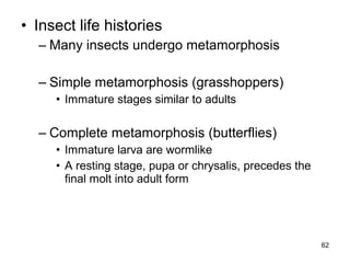 • Insect life histories
– Many insects undergo metamorphosis
– Simple metamorphosis (grasshoppers)
• Immature stages similar to adults
– Complete metamorphosis (butterflies)
• Immature larva are wormlike
• A resting stage, pupa or chrysalis, precedes the
final molt into adult form
62
 