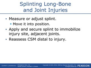 Ch28 muscleskel | PPT | Death, Injury, or Military Conflict | Sensitive ...