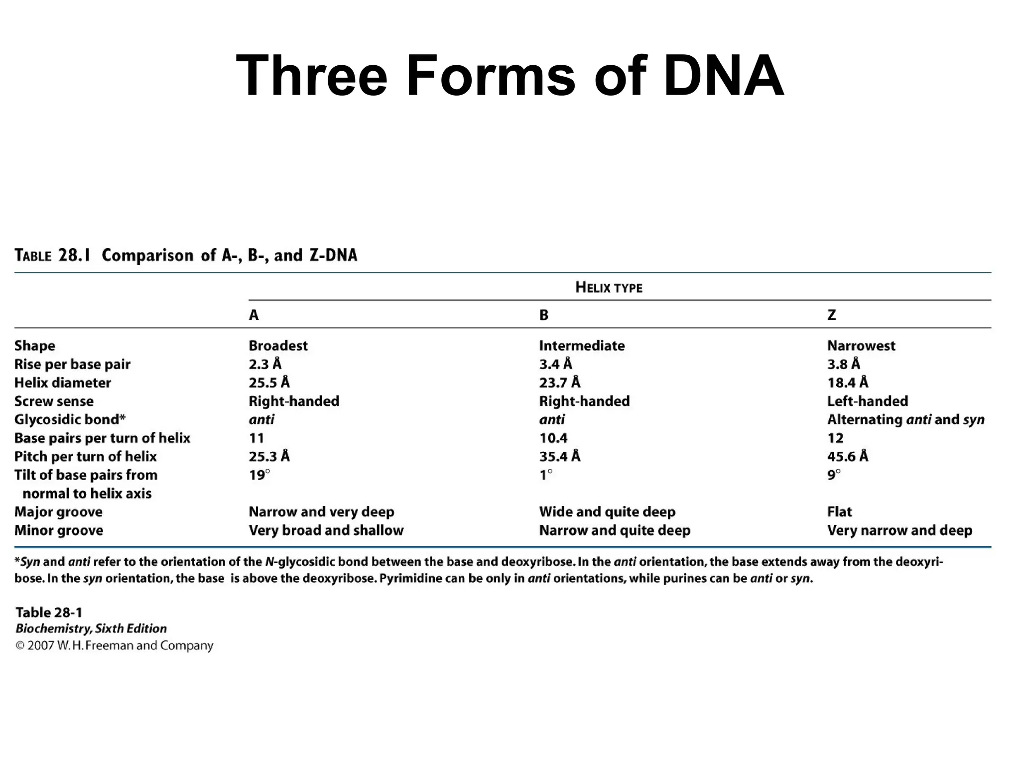 Three Forms of DNA
 