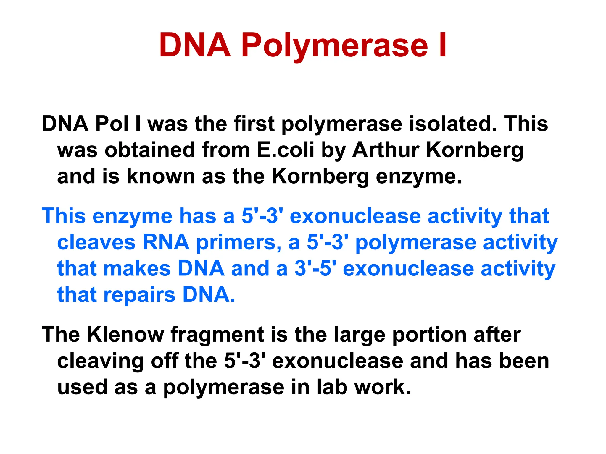 DNA Polymerase I
DNA Pol I was the first polymerase isolated. This
was obtained from E.coli by Arthur Kornberg
and is known as the Kornberg enzyme.
This enzyme has a 5'-3' exonuclease activity that
cleaves RNA primers, a 5'-3' polymerase activity
that makes DNA and a 3'-5' exonuclease activity
that repairs DNA.
The Klenow fragment is the large portion after
cleaving off the 5'-3' exonuclease and has been
used as a polymerase in lab work.
 