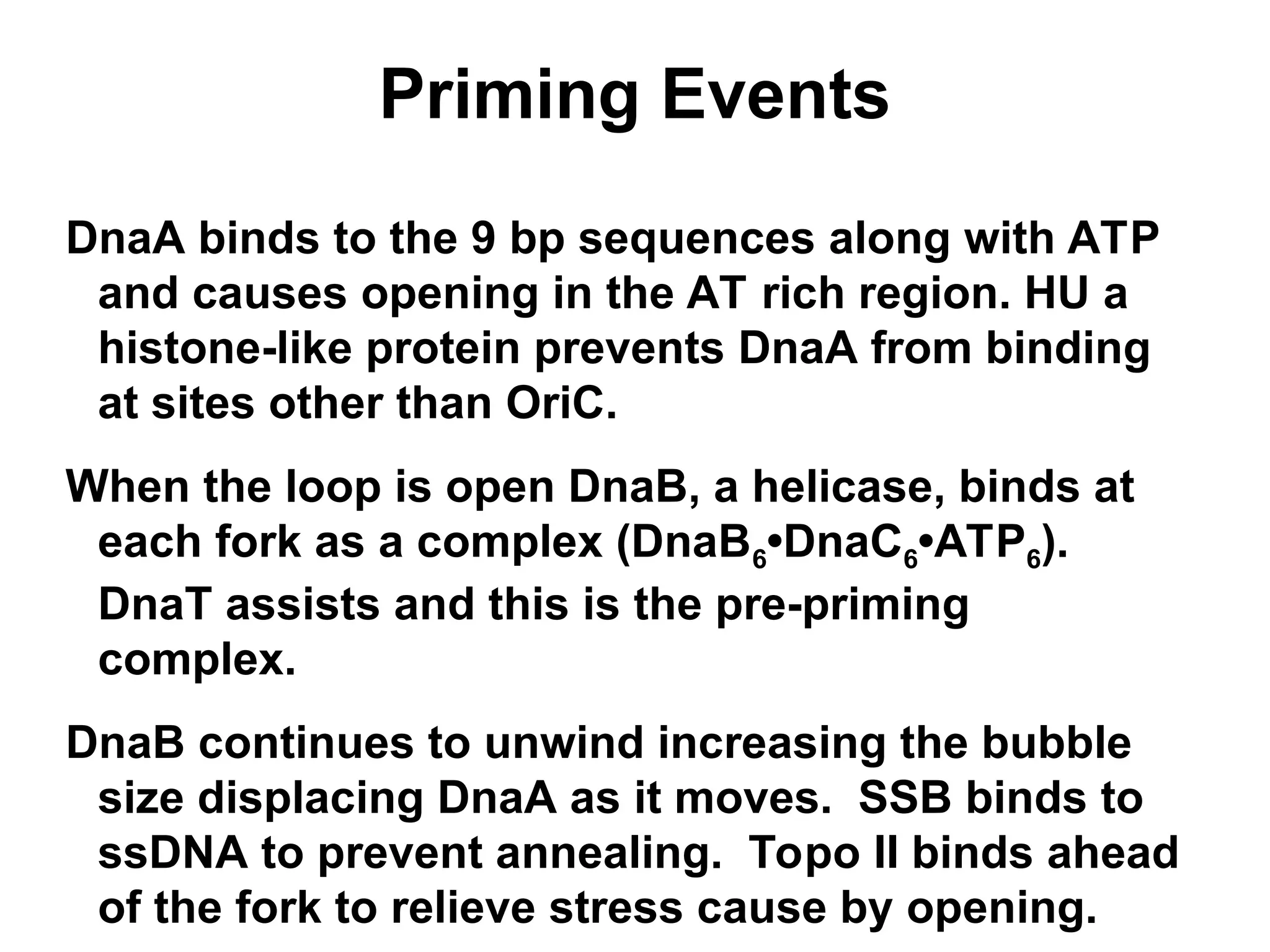 Priming Events
DnaA binds to the 9 bp sequences along with ATP
and causes opening in the AT rich region. HU a
histone-like protein prevents DnaA from binding
at sites other than OriC.
When the loop is open DnaB, a helicase, binds at
each fork as a complex (DnaB6•DnaC6•ATP6).
DnaT assists and this is the pre-priming
complex.
DnaB continues to unwind increasing the bubble
size displacing DnaA as it moves. SSB binds to
ssDNA to prevent annealing. Topo II binds ahead
of the fork to relieve stress cause by opening.
 