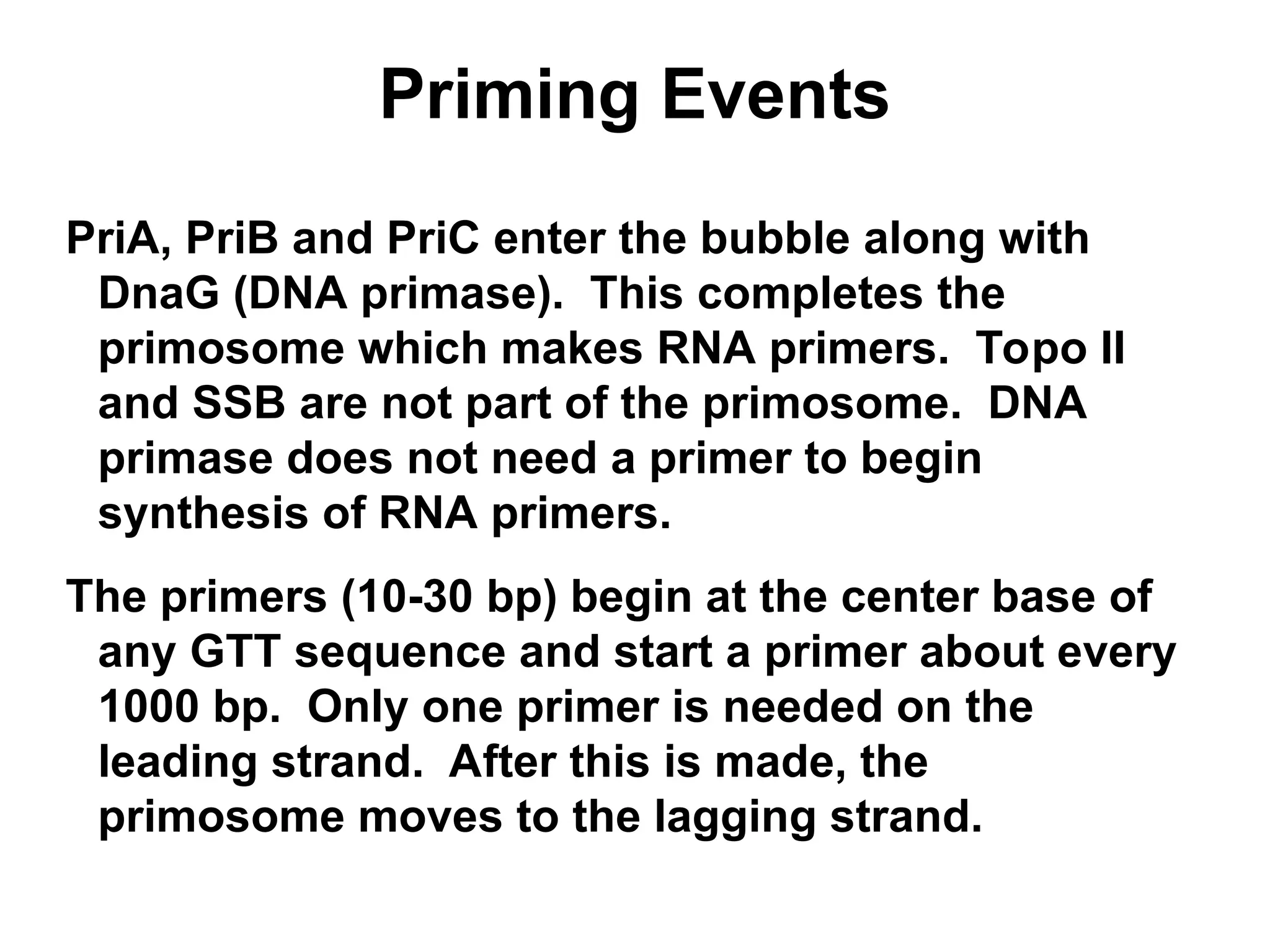 Priming Events
PriA, PriB and PriC enter the bubble along with
DnaG (DNA primase). This completes the
primosome which makes RNA primers. Topo II
and SSB are not part of the primosome. DNA
primase does not need a primer to begin
synthesis of RNA primers.
The primers (10-30 bp) begin at the center base of
any GTT sequence and start a primer about every
1000 bp. Only one primer is needed on the
leading strand. After this is made, the
primosome moves to the lagging strand.
 