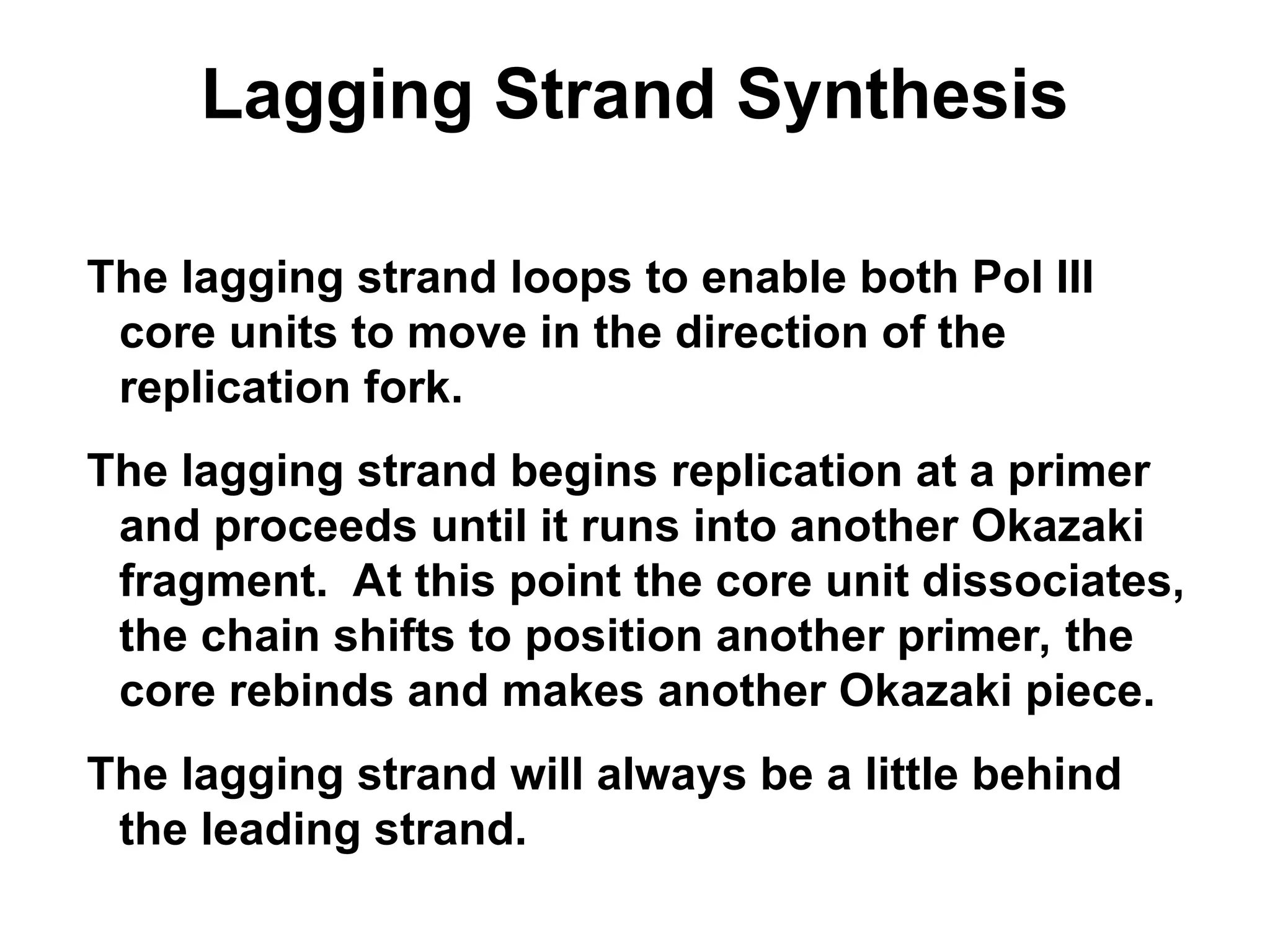 Lagging Strand Synthesis
The lagging strand loops to enable both Pol III
core units to move in the direction of the
replication fork.
The lagging strand begins replication at a primer
and proceeds until it runs into another Okazaki
fragment. At this point the core unit dissociates,
the chain shifts to position another primer, the
core rebinds and makes another Okazaki piece.
The lagging strand will always be a little behind
the leading strand.
 