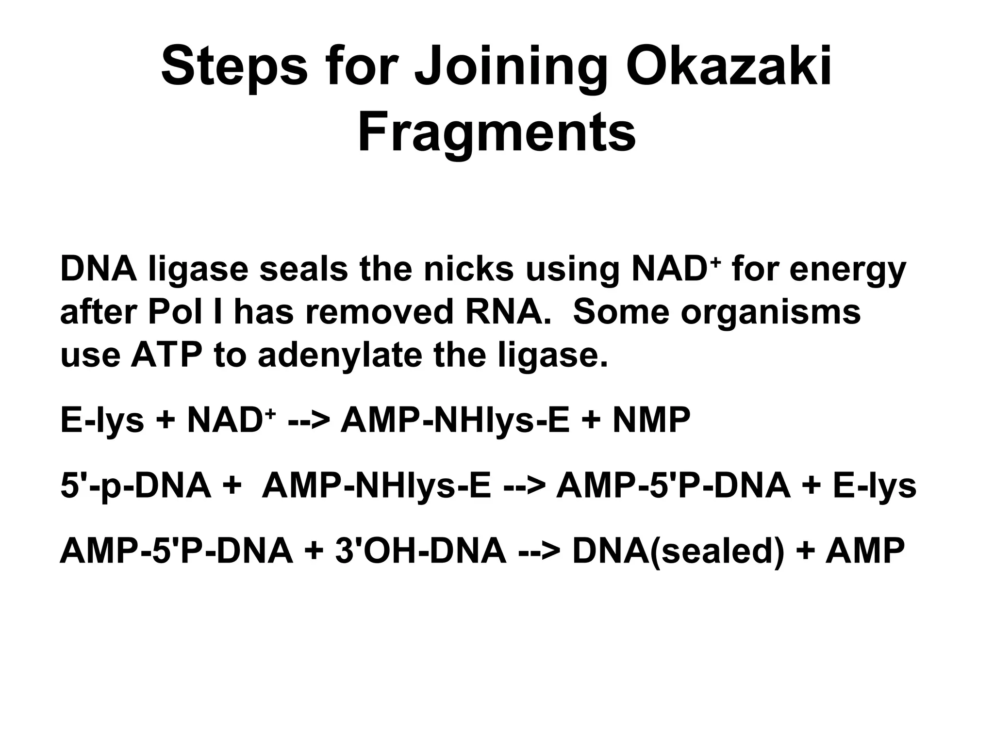 Steps for Joining Okazaki
Fragments
DNA ligase seals the nicks using NAD+
for energy
after Pol I has removed RNA. Some organisms
use ATP to adenylate the ligase.
E-lys + NAD+
--> AMP-NHlys-E + NMP
5'-p-DNA + AMP-NHlys-E --> AMP-5'P-DNA + E-lys
AMP-5'P-DNA + 3'OH-DNA --> DNA(sealed) + AMP
 