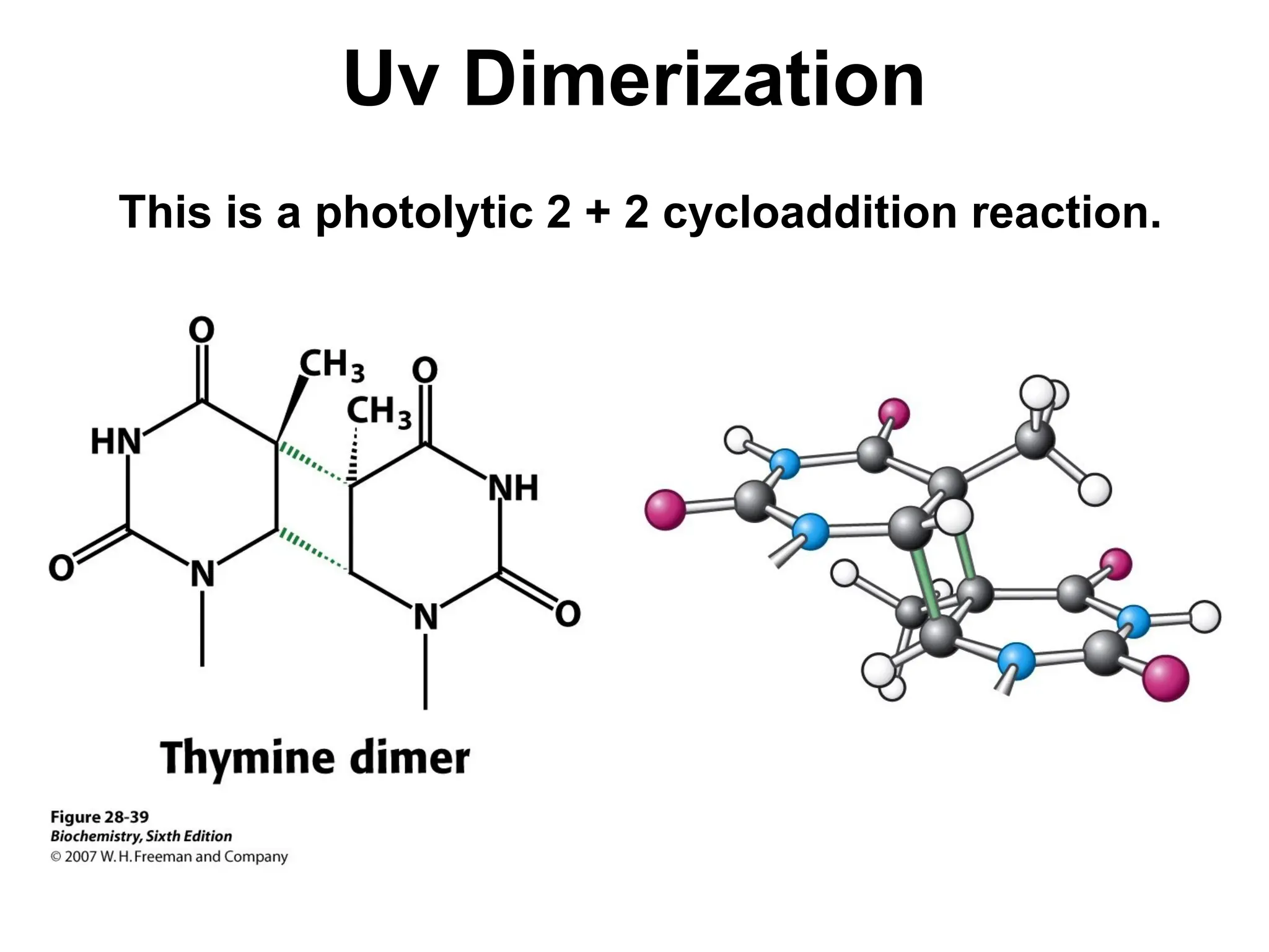 Uv Dimerization
This is a photolytic 2 + 2 cycloaddition reaction.
 