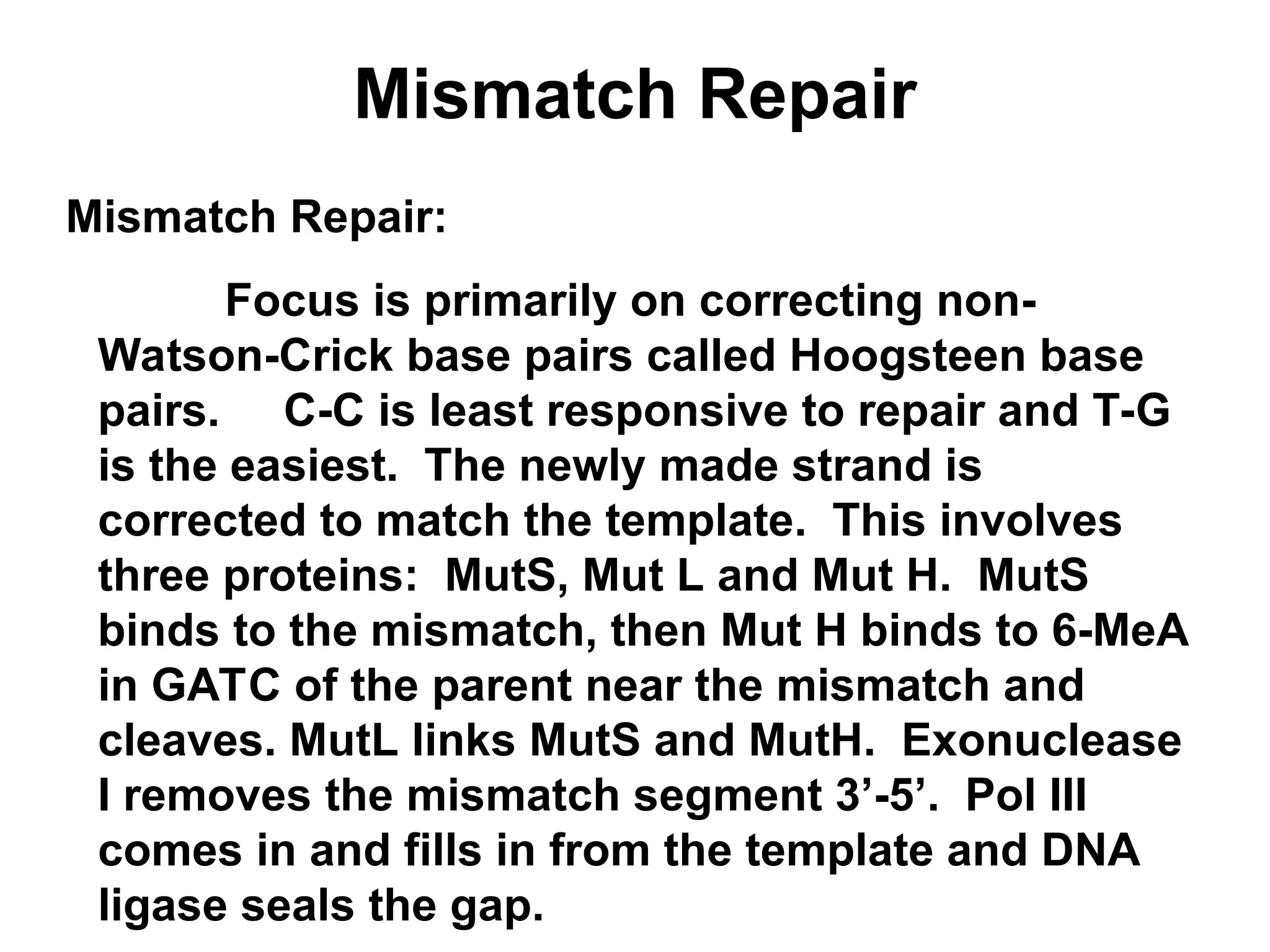 Mismatch Repair
Mismatch Repair:
Focus is primarily on correcting non-
Watson-Crick base pairs called Hoogsteen base
pairs. C-C is least responsive to repair and T-G
is the easiest. The newly made strand is
corrected to match the template. This involves
three proteins: MutS, Mut L and Mut H. MutS
binds to the mismatch, then Mut H binds to 6-MeA
in GATC of the parent near the mismatch and
cleaves. MutL links MutS and MutH. Exonuclease
I removes the mismatch segment 3’-5’. Pol III
comes in and fills in from the template and DNA
ligase seals the gap.
 