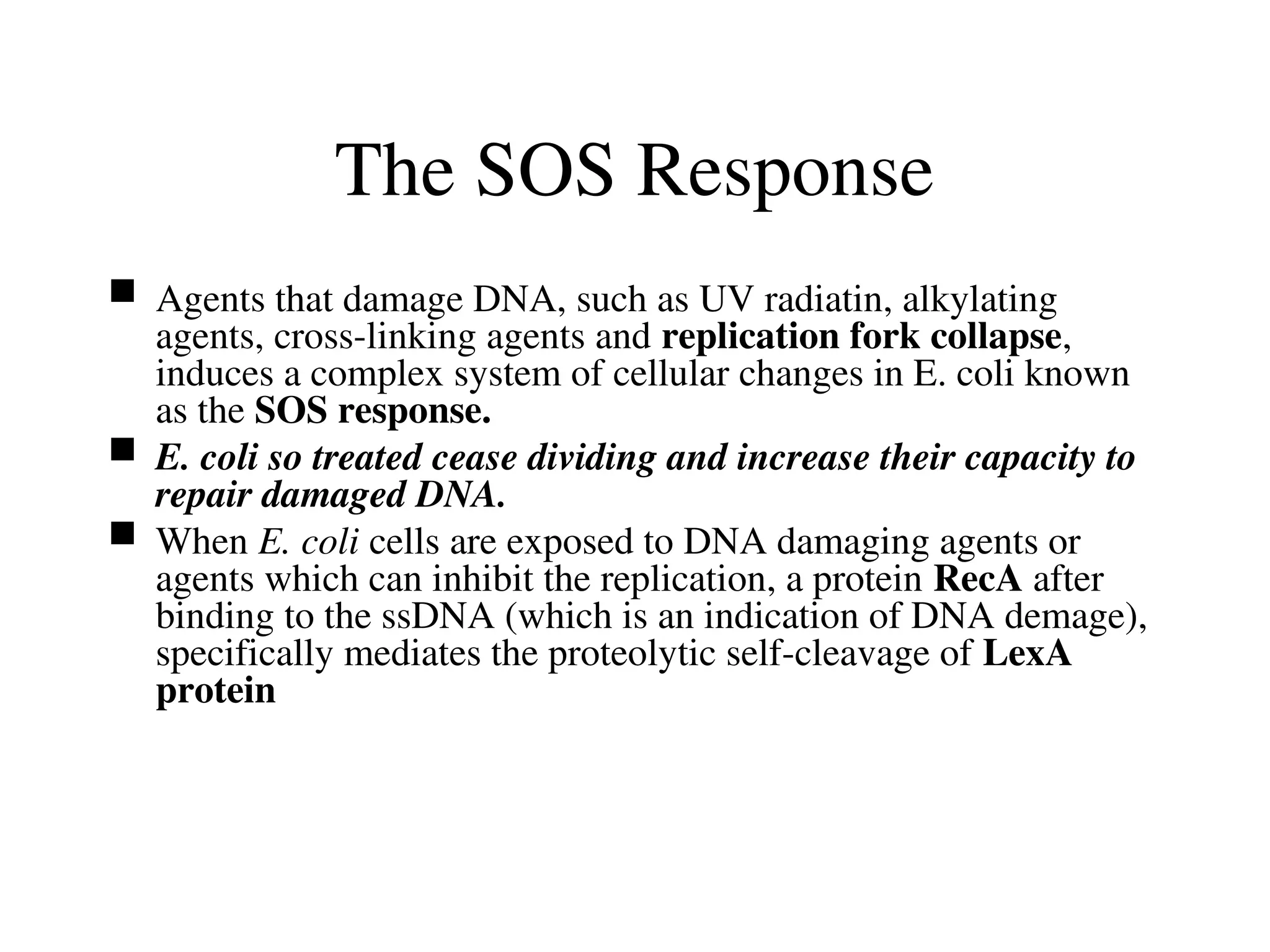The SOS Response
 Agents that damage DNA, such as UV radiatin, alkylating
agents, cross-linking agents and replication fork collapse,
induces a complex system of cellular changes in E. coli known
as the SOS response.
 E. coli so treated cease dividing and increase their capacity to
repair damaged DNA.
 When E. coli cells are exposed to DNA damaging agents or
agents which can inhibit the replication, a protein RecA after
binding to the ssDNA (which is an indication of DNA demage),
specifically mediates the proteolytic self-cleavage of LexA
protein
 