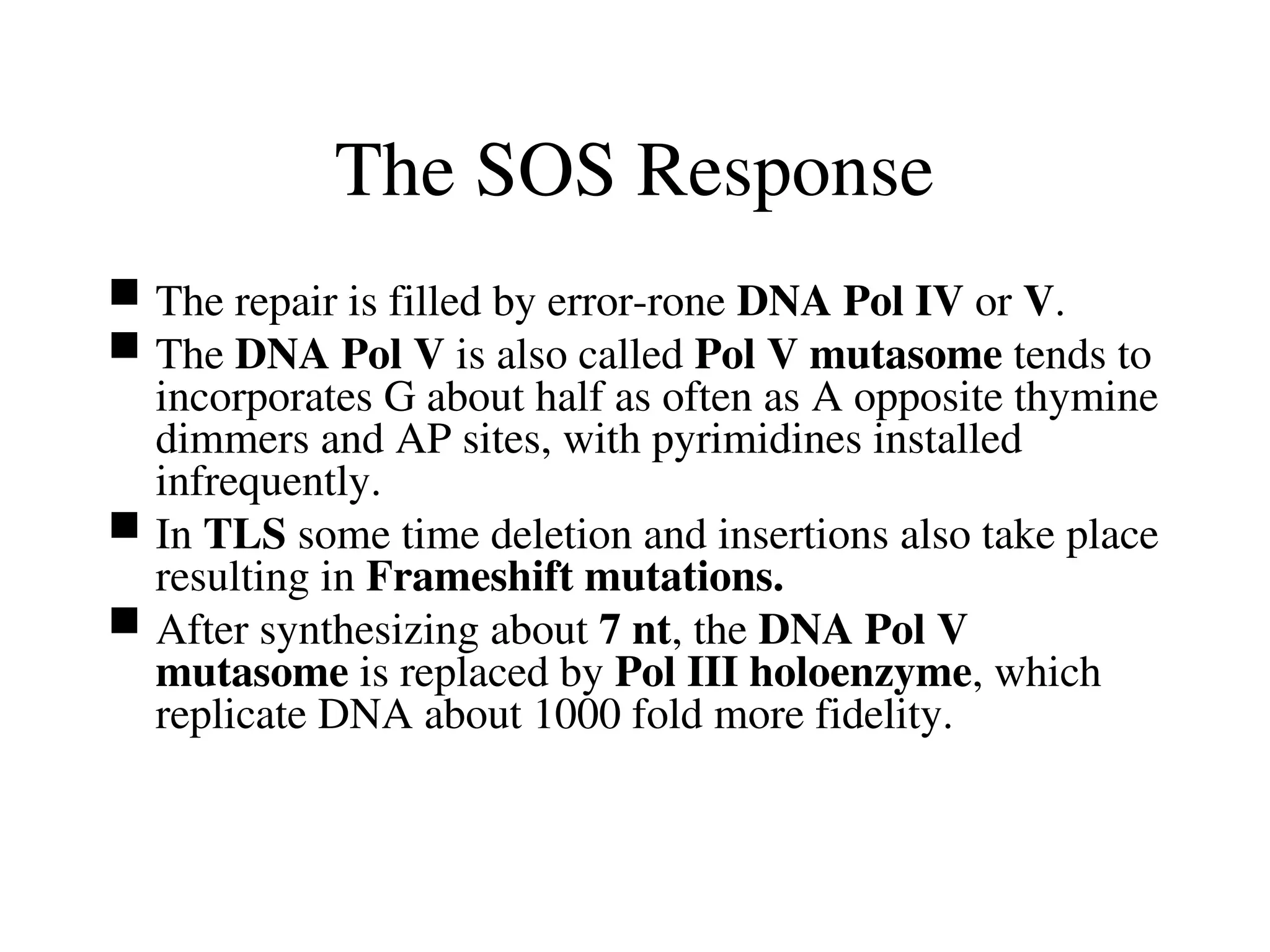 The SOS Response
 The repair is filled by error-rone DNA Pol IV or V.
 The DNA Pol V is also called Pol V mutasome tends to
incorporates G about half as often as A opposite thymine
dimmers and AP sites, with pyrimidines installed
infrequently.
 In TLS some time deletion and insertions also take place
resulting in Frameshift mutations.
 After synthesizing about 7 nt, the DNA Pol V
mutasome is replaced by Pol III holoenzyme, which
replicate DNA about 1000 fold more fidelity.
 