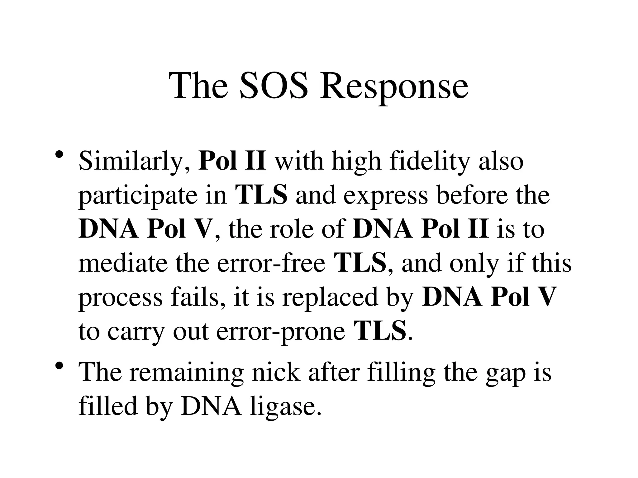 The SOS Response
• Similarly, Pol II with high fidelity also
participate in TLS and express before the
DNA Pol V, the role of DNA Pol II is to
mediate the error-free TLS, and only if this
process fails, it is replaced by DNA Pol V
to carry out error-prone TLS.
• The remaining nick after filling the gap is
filled by DNA ligase.
 