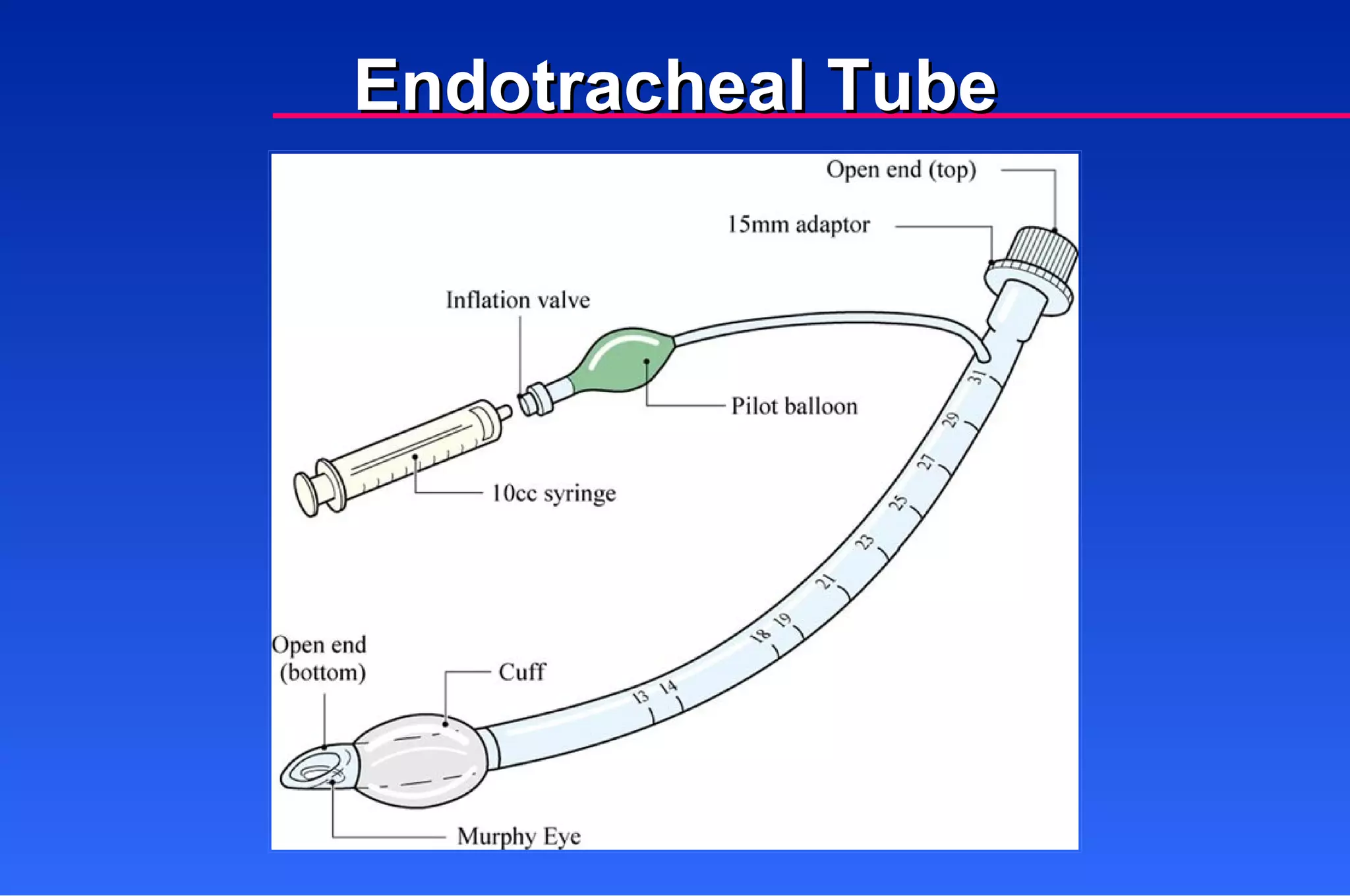 Endotracheal Tube 