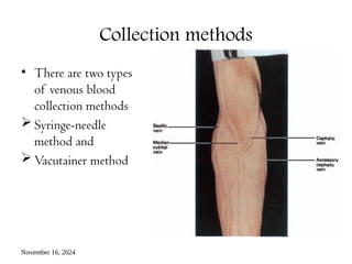 November 16, 2024
Collection methods
• There are two types
of venous blood
collection methods
 Syringe-needle
method and
 Vacutainer method
 
