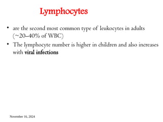 November 16, 2024
Lymphocytes
• are the second most common type of leukocytes in adults
(~20–40% of WBC)
• The lymphocyte number is higher in children and also increases
with viral infections
 