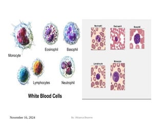 November 16, 2024 By: Woyesa Beyene
 