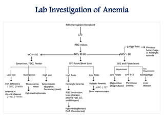 Lab Investigation of Anemia
 