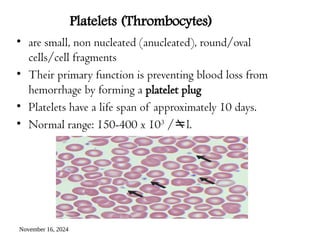 November 16, 2024
Platelets (Thrombocytes)
• are small, non nucleated (anucleated), round/oval
cells/cell fragments
• Their primary function is preventing blood loss from
hemorrhage by forming a platelet plug
• Platelets have a life span of approximately 10 days.
• Normal range: 150-400 x 103
/l.
 