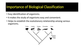 Ch 2 biological classification | PPTX