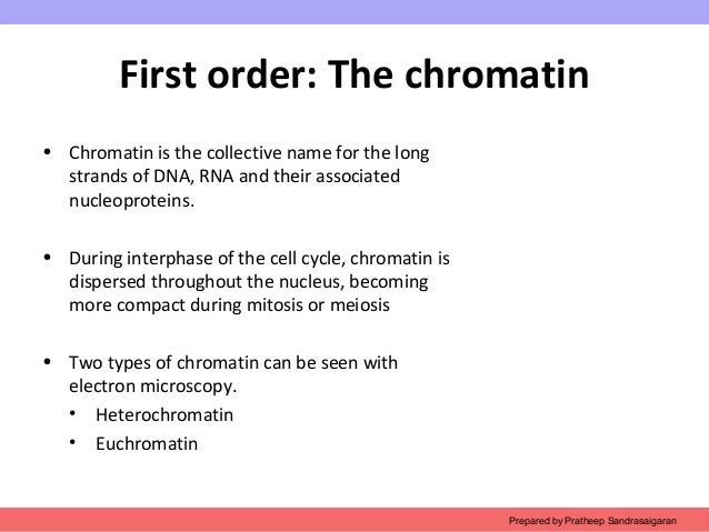 facts about dna strands Fact sheet on dna sequencing nanopore-based dna sequencing involves threading single dna strands through extremely tiny pores in a membrane. facts about dna strands Fact sheet on dna sequencing nanopore-based dna sequencing involves threading single dna strands through extremely tiny pores in a membrane.
