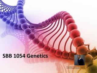 SBB 1054 Genetics
1
Prepared by Pratheep Sandrasaigaran
Lecturer at Manipal International University
 