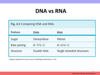 Chromosome structure_.ppt | Biological Sciences | Science