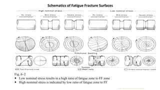 Understanding Fatigue Failure in Metals Under Variable Loading ...