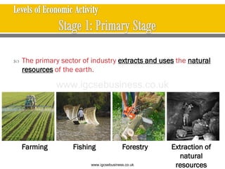 Farming Fishing Forestry Extraction of
natural
resources
 The primary sector of industry extracts and uses the natural
resources of the earth.
www.igcsebusiness.co.uk
www.igcsebusiness.co.uk
 
