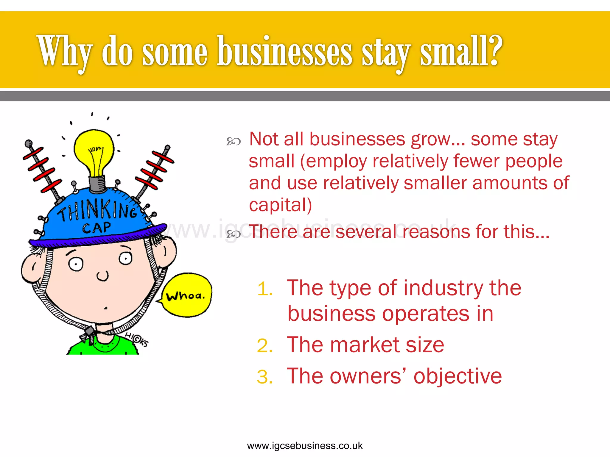  Not all businesses grow… some stay
small (employ relatively fewer people
and use relatively smaller amounts of
capital)
 There are several reasons for this…
1. The type of industry the
business operates in
2. The market size
3. The owners’ objective
www.igcsebusiness.co.uk
www.igcsebusiness.co.uk
 