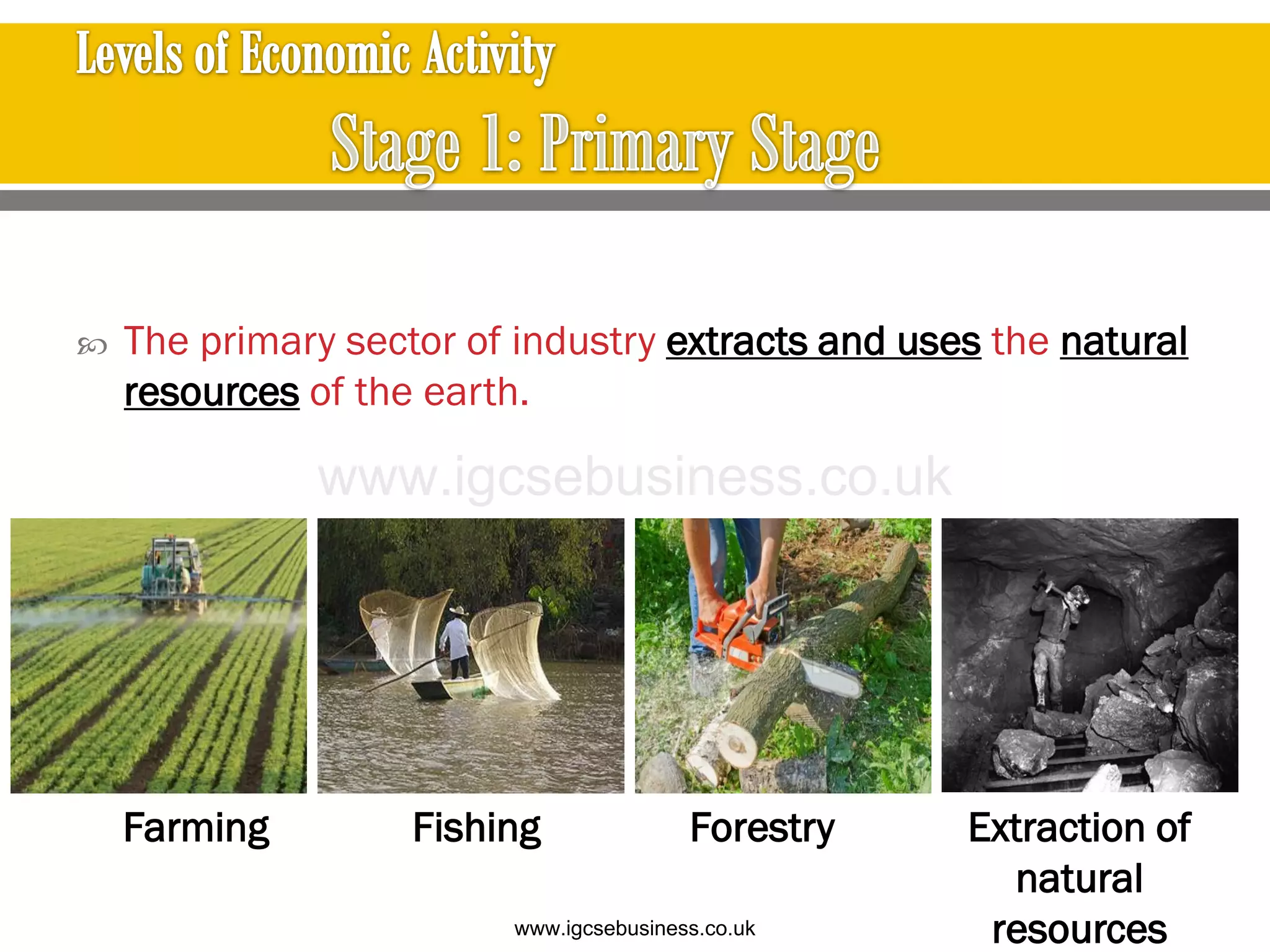 Farming Fishing Forestry Extraction of
natural
resources
 The primary sector of industry extracts and uses the natural
resources of the earth.
www.igcsebusiness.co.uk
www.igcsebusiness.co.uk
 