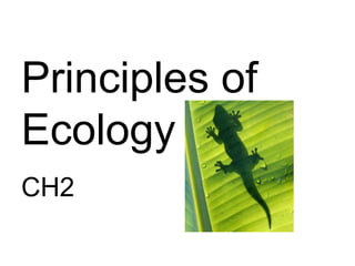 Principles of
Ecology
CH2
 