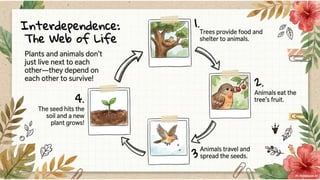 Class 6 CBSE Science Chapter 2 – Diversity in the Living World | PDF Notes & Presentation | NCERT 2026-27