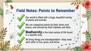 Class 6 CBSE Science Chapter 2 – Diversity in the Living World | PDF Notes & Presentation | NCERT 2026-27