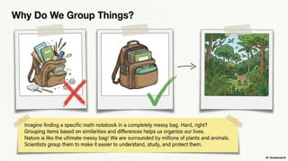 Class 6 CBSE Science Chapter 2 – Diversity in the Living World | PDF Notes & Presentation | NCERT 2026-27