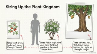 Class 6 CBSE Science Chapter 2 – Diversity in the Living World | PDF Notes & Presentation | NCERT 2026-27