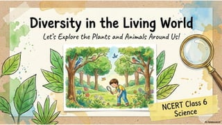 Class 6 CBSE Science Chapter 2 – Diversity in the Living World | PDF Notes & Presentation | NCERT 2026-27