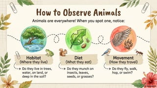 Class 6 CBSE Science Chapter 2 – Diversity in the Living World | PDF Notes & Presentation | NCERT 2026-27