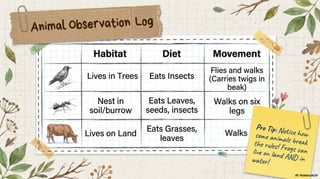 Class 6 CBSE Science Chapter 2 – Diversity in the Living World | PDF Notes & Presentation | NCERT 2026-27