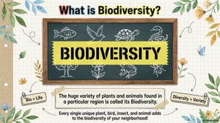 Class 6 CBSE Science Chapter 2 – Diversity in the Living World | PDF Notes & Presentation | NCERT 2026-27