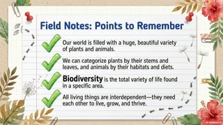 Class 6 CBSE Science Chapter 2 – Diversity in the Living World | PDF Notes & Presentation | NCERT 2026-27