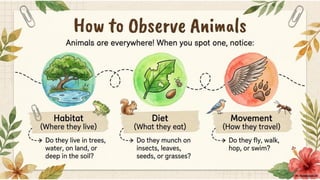 Class 6 CBSE Science Chapter 2 – Diversity in the Living World | PDF Notes & Presentation | NCERT 2026-27
