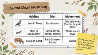 Class 6 CBSE Science Chapter 2 – Diversity in the Living World | PDF Notes & Presentation | NCERT 2026-27