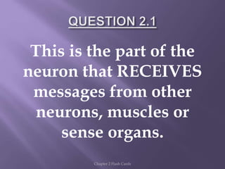 This is the part of the
neuron that RECEIVES
messages from other
neurons, muscles or
sense organs.
Chapter 2 Flash Cards
 