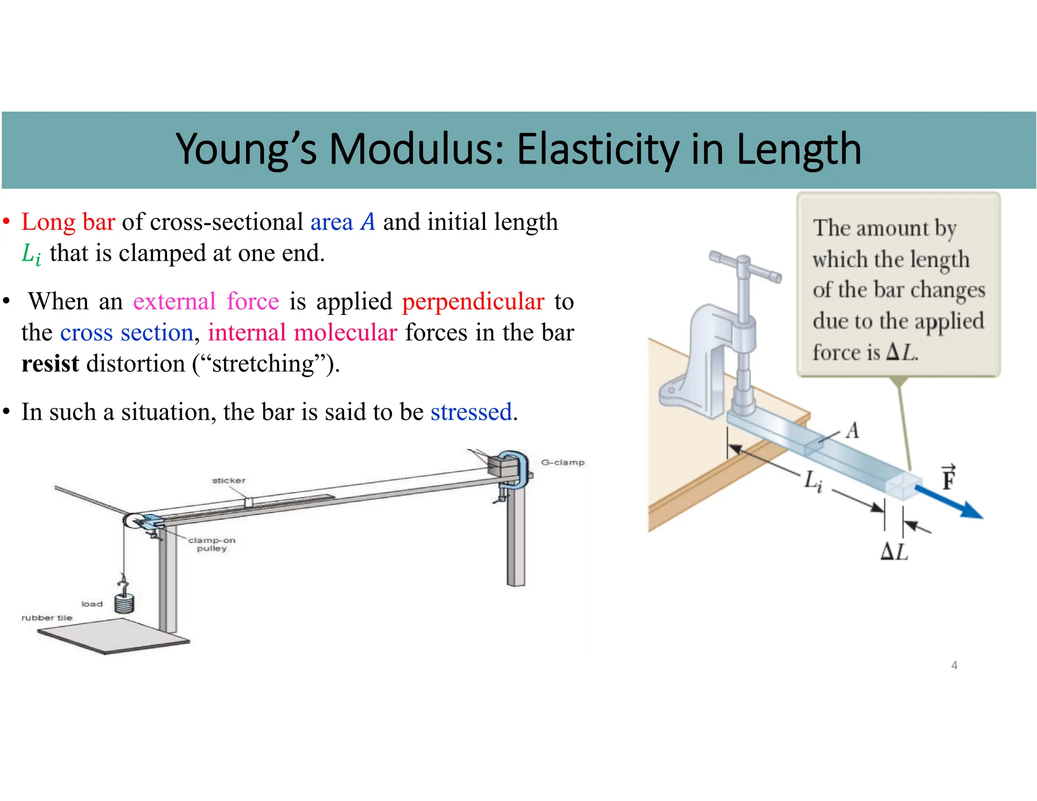 4
Young’s Modulus: Elasticity in Length
• Long bar of cross-sectional area 𝐴 and initial length
𝐿 that is clamped at one end.
• When an external force is applied perpendicular to
the cross section, internal molecular forces in the bar
resist distortion (“stretching”).
• In such a situation, the bar is said to be stressed.
 
