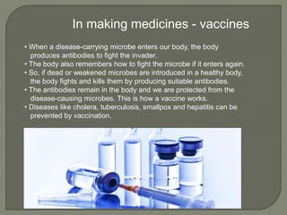 • When a disease-carrying microbe enters our body, the body
produces antibodies to fight the invader.
• The body also remembers how to fight the microbe if it enters again.
• So, if dead or weakened microbes are introduced in a healthy body,
the body fights and kills them by producing suitable antibodies.
• The antibodies remain in the body and we are protected from the
disease-causing microbes. This is how a vaccine works.
• Diseases like cholera, tuberculosis, smallpox and hepatitis can be
prevented by vaccination.
In making medicines - vaccines
 