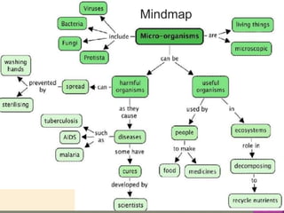 Mindmap
 