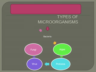 Bacteria
Algae
Protozoa
Virus
Fungi
 