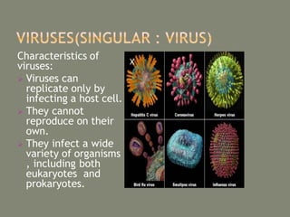 Characteristics of
viruses:
 Viruses can
replicate only by
infecting a host cell.
 They cannot
reproduce on their
own.
 They infect a wide
variety of organisms
, including both
eukaryotes and
prokaryotes.
 