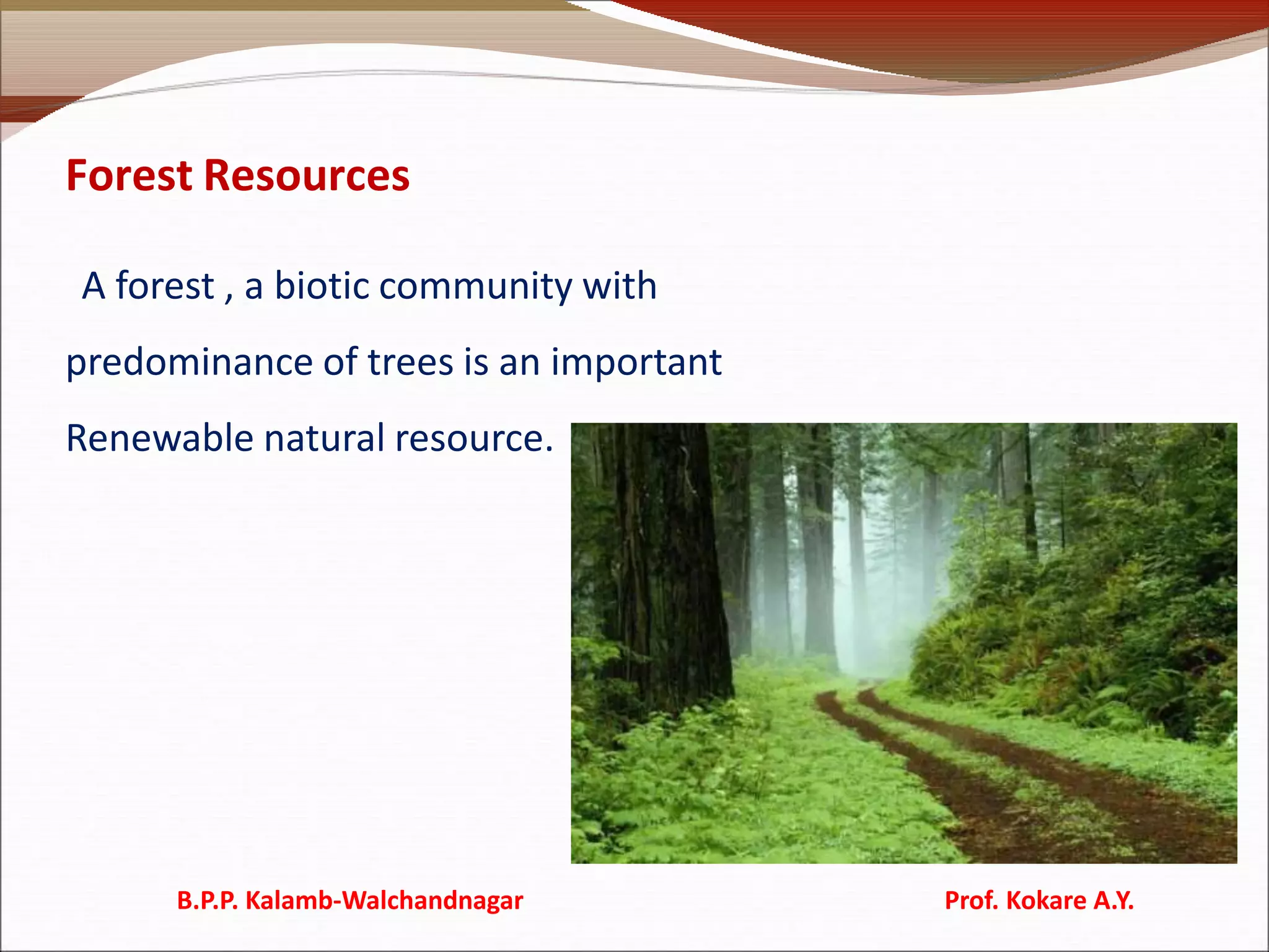Forest Resources
A forest , a biotic community with
predominance of trees is an important
Renewable natural resource.
B.P.P. Kalamb-Walchandnagar Prof. Kokare A.Y.
 