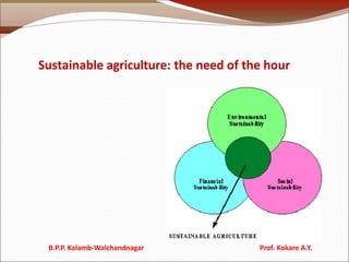 Sustainable agriculture: the need of the hour
B.P.P. Kalamb-Walchandnagar Prof. Kokare A.Y.
 