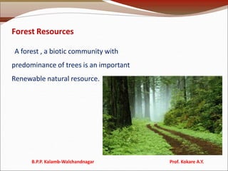 Forest Resources
A forest , a biotic community with
predominance of trees is an important
Renewable natural resource.
B.P.P. Kalamb-Walchandnagar Prof. Kokare A.Y.
 