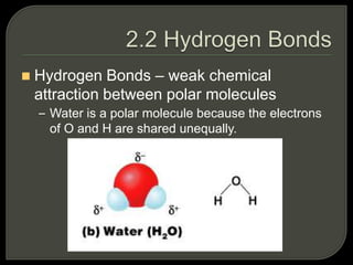  Hydrogen Bonds – weak chemical
attraction between polar molecules
– Water is a polar molecule because the electrons
of O and H are shared unequally.
 