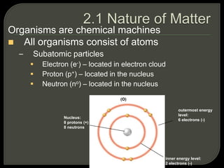Organisms are chemical machines
 All organisms consist of atoms
– Subatomic particles
 Electron (e-) – located in electron cloud
 Proton (p+) – located in the nucleus
 Neutron (no) – located in the nucleus
Oxygen atom (O)
Nucleus:
8 protons (+)
8 neutrons
outermost energy
level:
6 electrons (-)
inner energy level:
2 electrons (-)
 